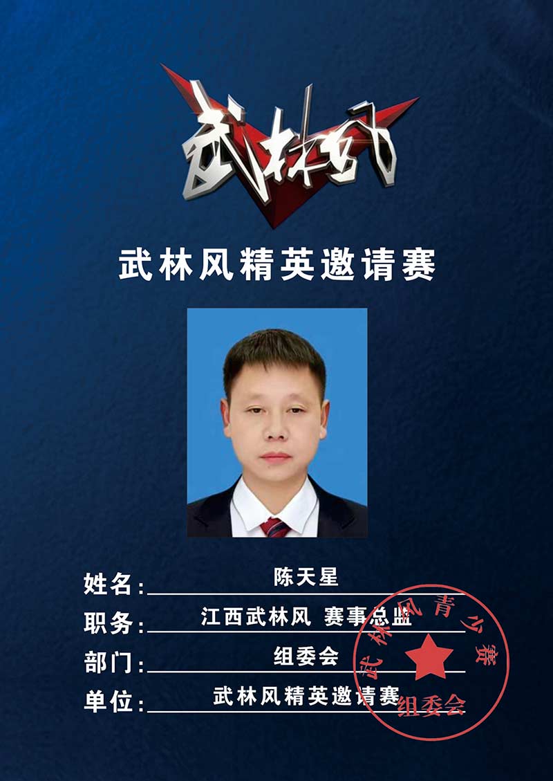 武林风精英邀请赛8